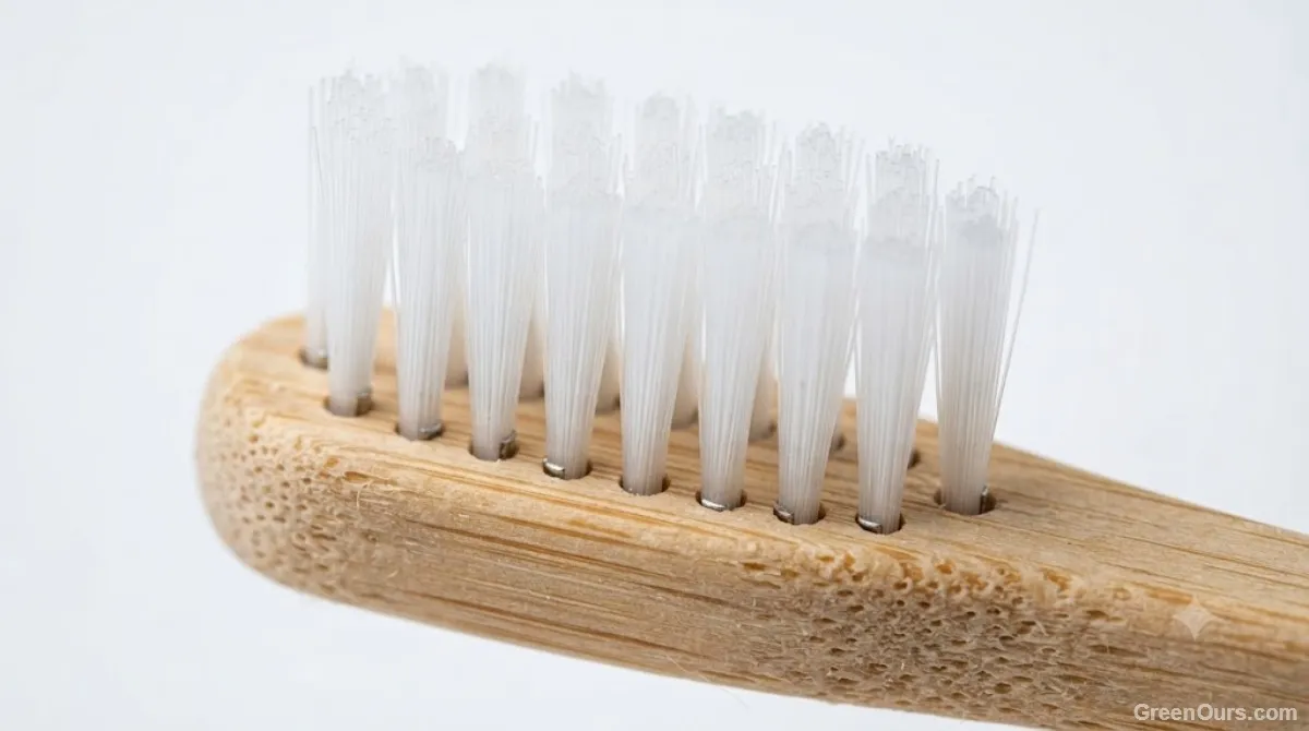 Close-up of bamboo toothbrush bristles showing texture and base attachment